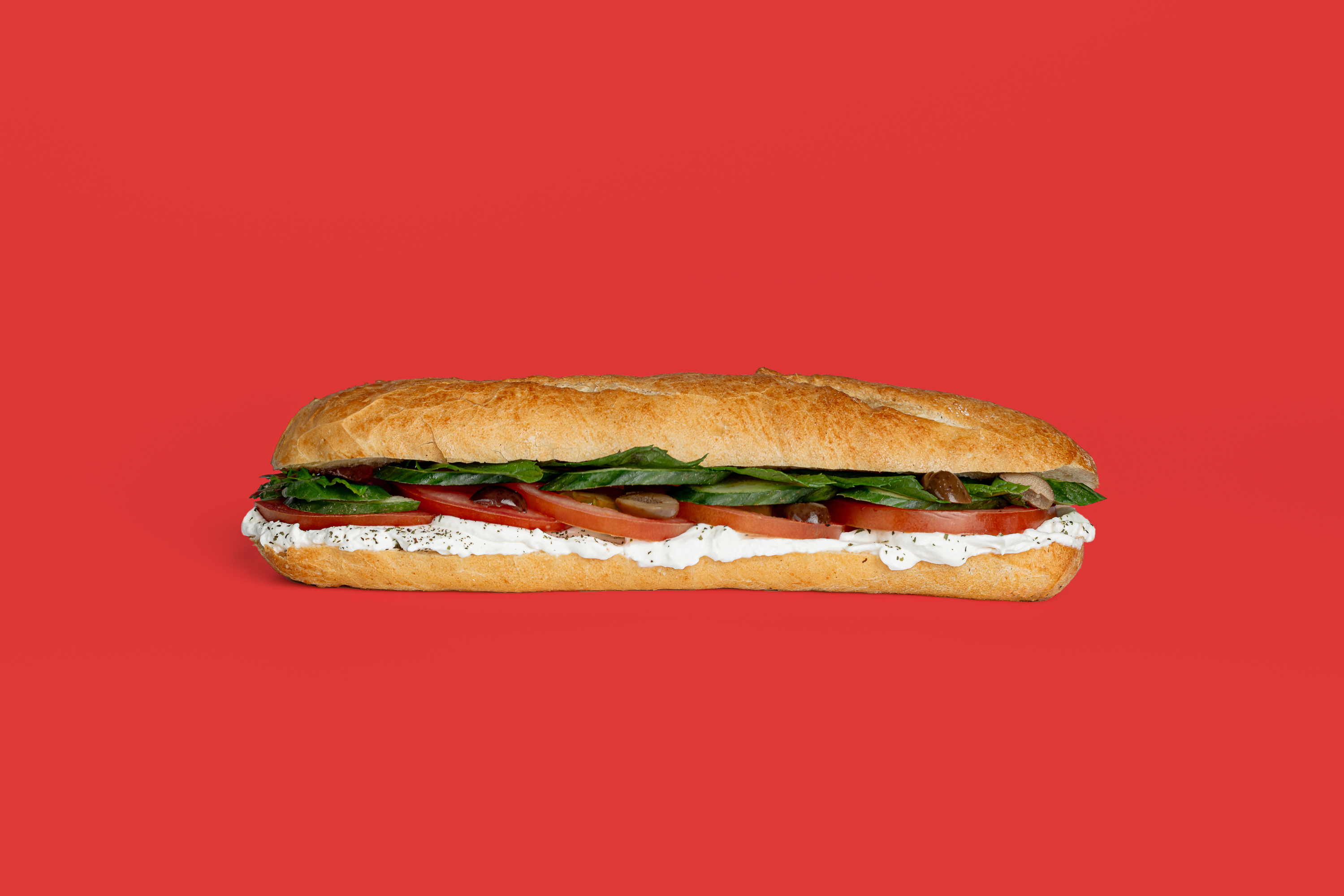 Labneh & Vegetables Sandwich